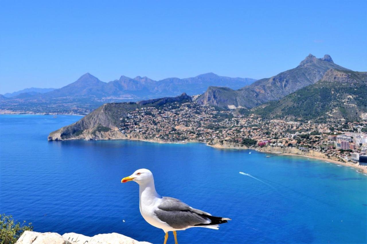 Acan0306 Calpe Exterior photo
